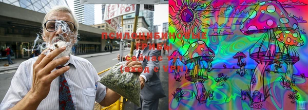 тгк Балахна