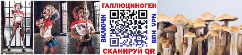 цены наркотик  Черепаново  Псилоцибиновые грибы Magic Shrooms 